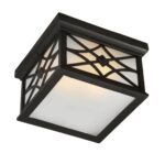 Outdoor Traditional Flush Light - 图片 2